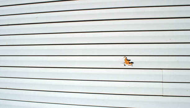  Ceresco, NE Siding Installation Pros