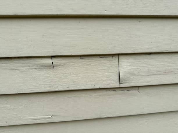  Ceresco, NE Siding Installation Pros